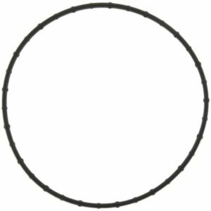 catalog/categories/Ford PowerStroke/Ford 6.4Liter/Engine Water Pump Gasket for Ford 6.4L diesel Engine.jpg